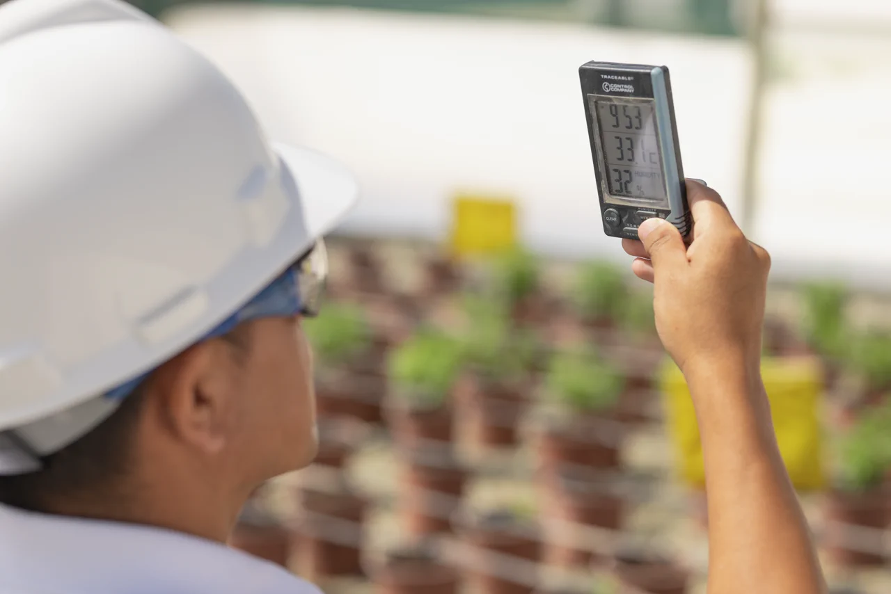 Tracking temperature and humidity inside Manus’ stevia nursery at its extraction facility in Paita.