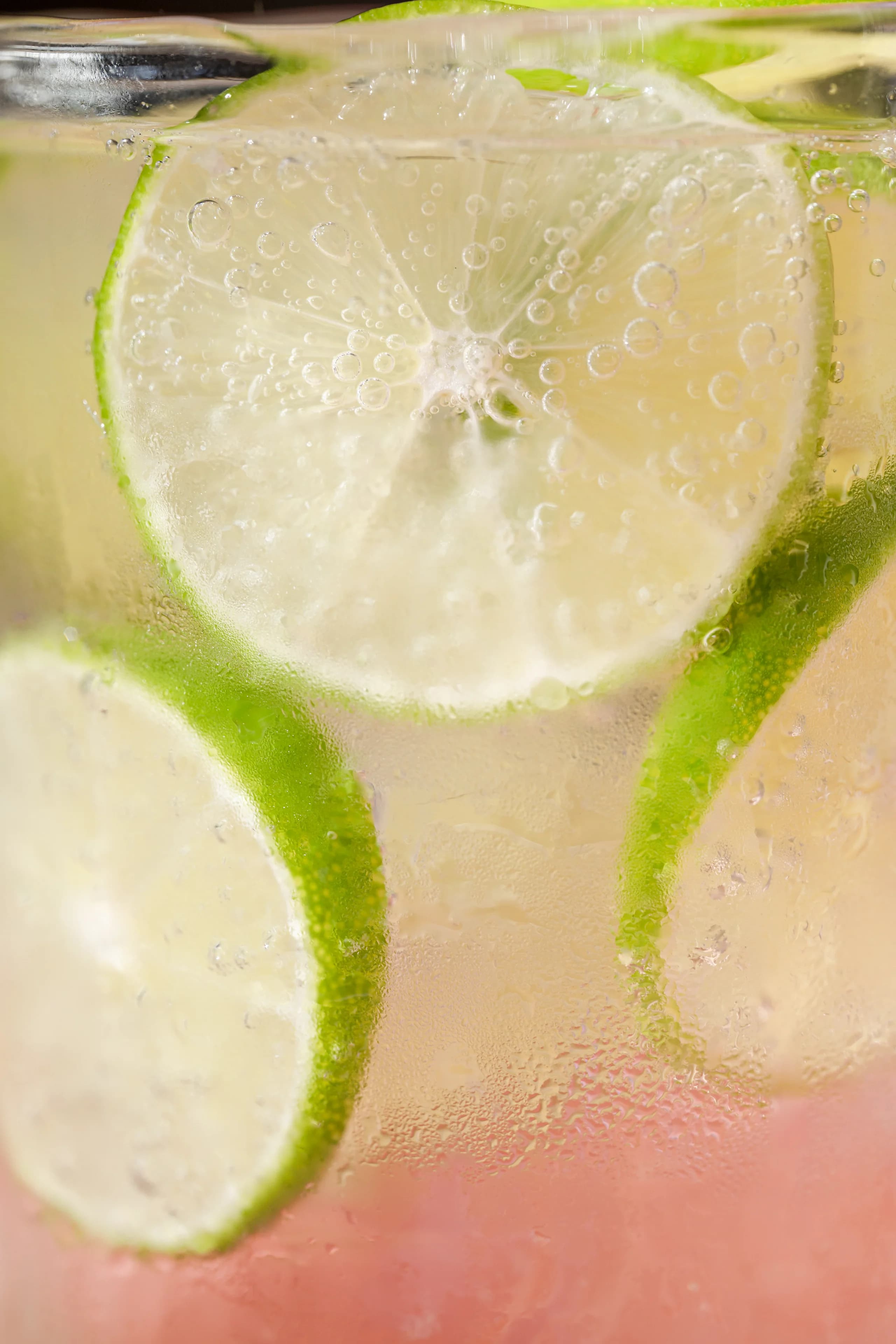 5 Myths and Facts About Stevia